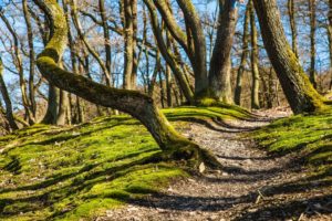 Wanderwege - Schätze im Vogelsberg